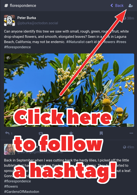 Screenshot of a hashtag search results page showing posts about flowers. The hashtag following icon is highlighted in the top right corner with the text "Click here to follow a hashtag!"