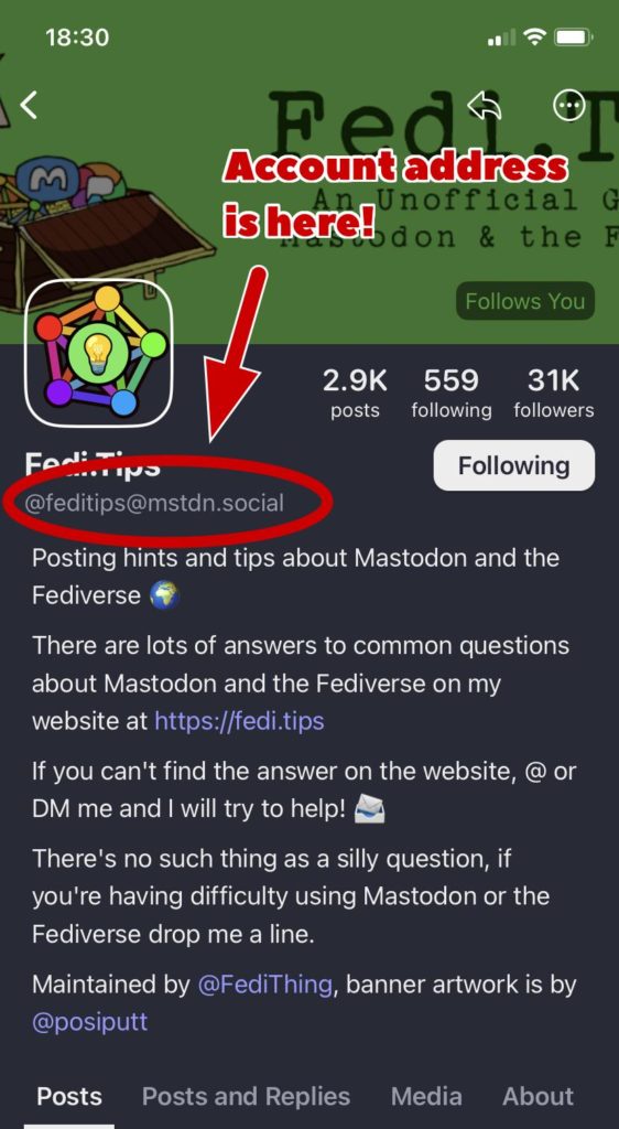 Screenshot of Mastodon official app, with profile page visible and its account address highlighted