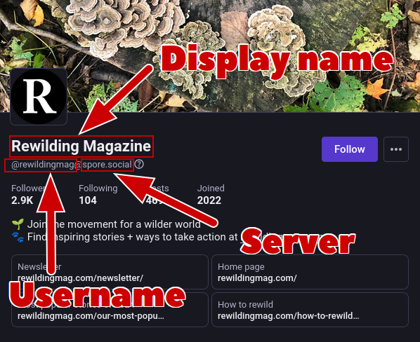 Screenshot of a Mastodon profile page with the display name highlighted at the top of the profile, the username is in a smaller font below this, and the server is displayed next to the username.