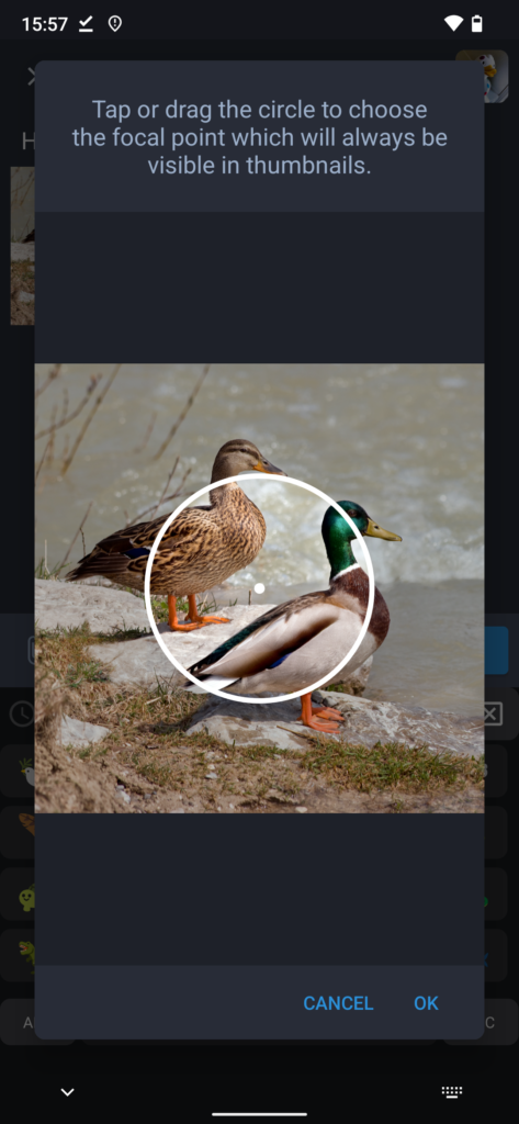 Screenshot of editing the focus on an image in Tusky