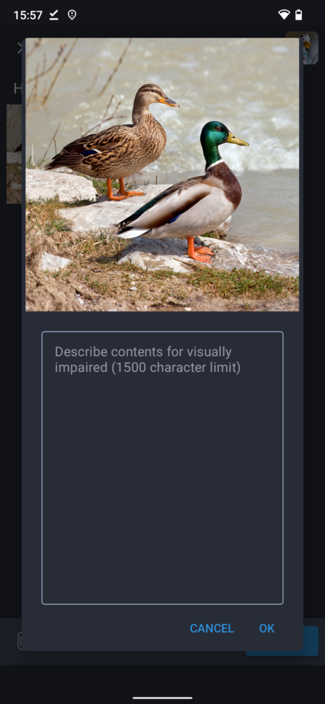 Screenshot of an image caption being edited in Tusky