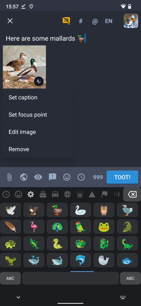 Screenshot of a post being edited in Tusky, showing an attached image and the emoji menu open.