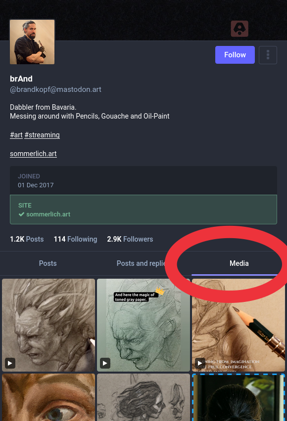 Screenshot of a profile page on Mastodon with the Media tab highlighted, and various images posted by the account are displayed below it.